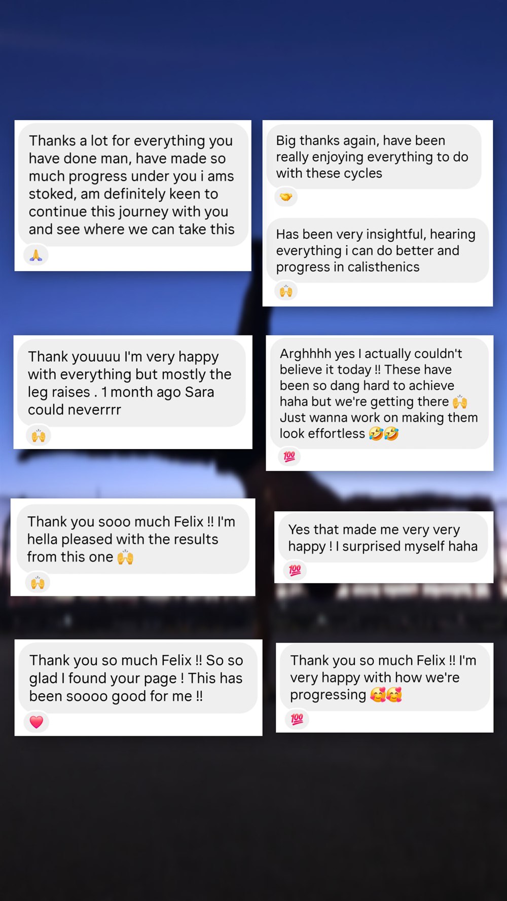 Client message thanking Felix for their progress