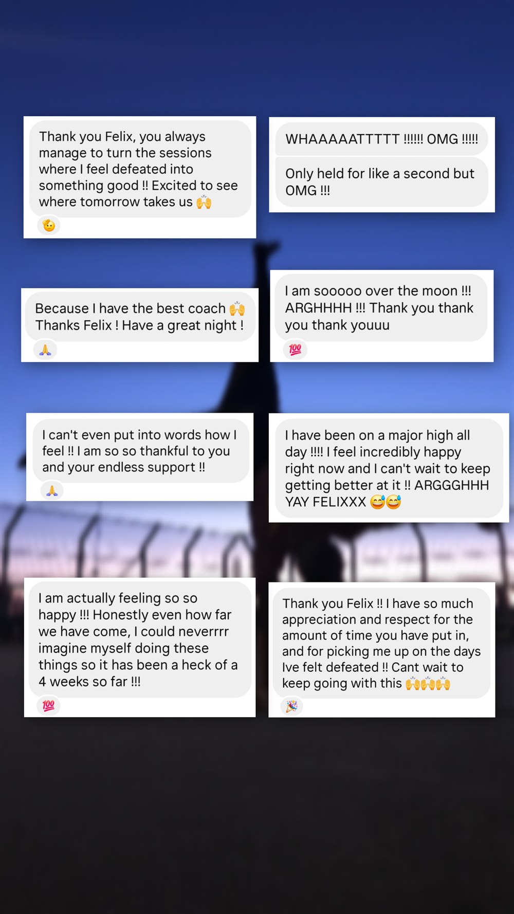 Client message thanking Felix